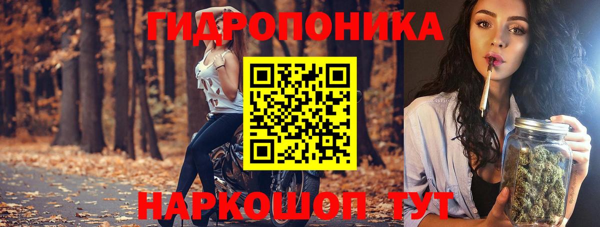 Бошки Шишки тримм  Вход с VPN  Шишки марихуана THC 21%  Шишки марихуана MAZAR  Вичуга 